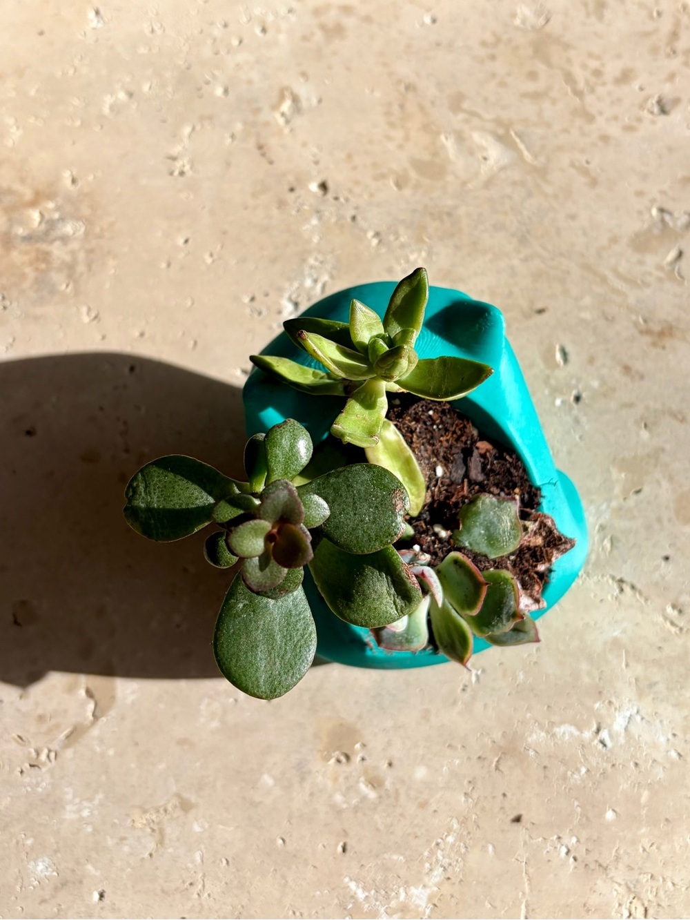 Bulbasaur Pokémon Planter Succulent Pot Cute Desk Decor Handmade - Picture 4 of 5